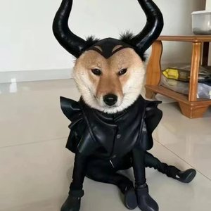 上斩昏君（diss上大2024cypher part 1）