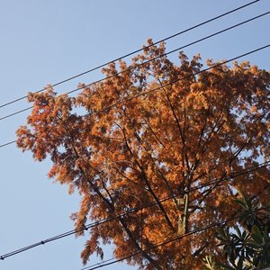 你走后每个冬天