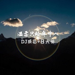 就当从没发生过 (DJ版)