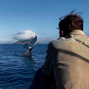 中国好声音-魔鬼中的天使