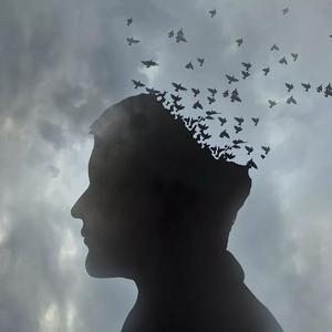 [Free]Dream