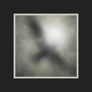 Umbra Avis