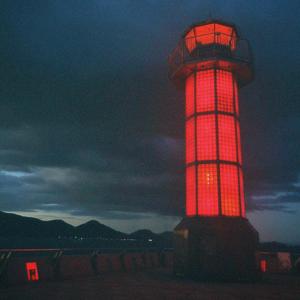 菊の花 (feat. cotoba)