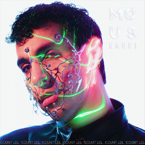 Icounit Leil (Radio Edit)