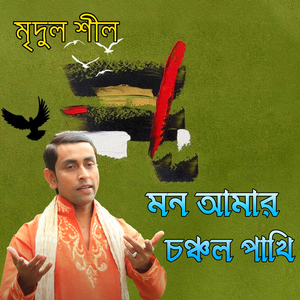 মন আমার চঞ্চল পাখি