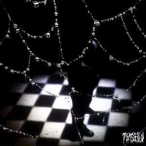 Bobby后面是nopeace