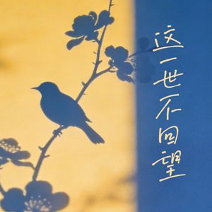 这一世 不回望