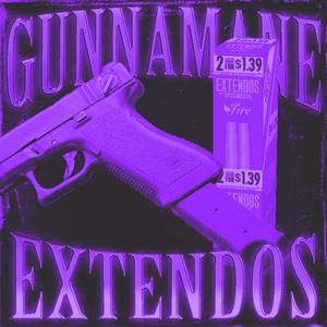 EXTENDOS