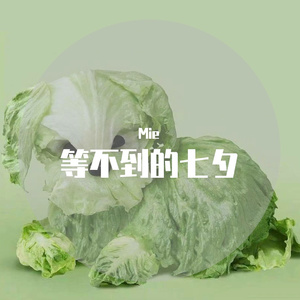 舔/甜狗的爱情故事