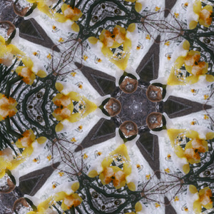 To reach for the stars, to pursue