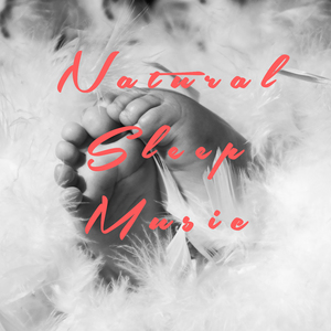 Beethoven: Sonata No. 29 Bb major, Op. 106