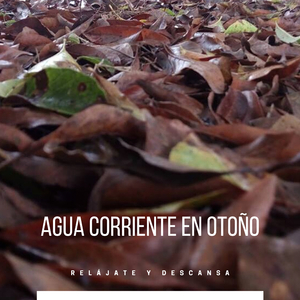 Agua Corriente en Otoño