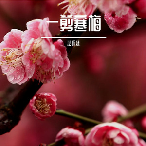 一剪梅