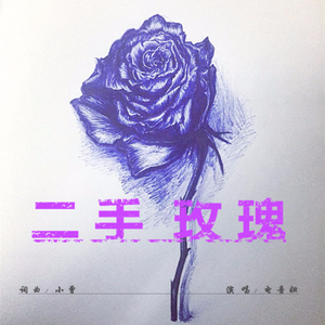 电音妞-二手玫瑰