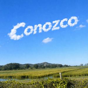 Conozco