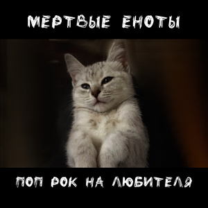 Поп-Рок На Любителя