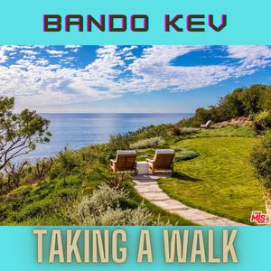 Taking A Walk