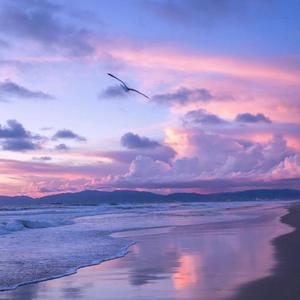 The Silence Of The Sea