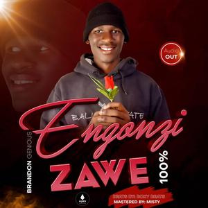 Engozi zawe
