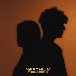 спишь? (Nørthium Phonk Remix)
