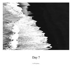 Day 7