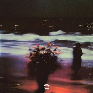 драба: jo track