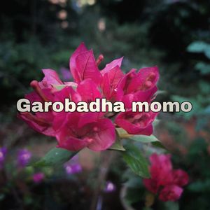 Garobadha momo