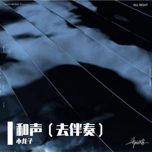 那些花儿（赵雷）