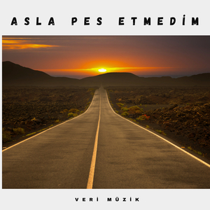 Asla Pes Etmedim