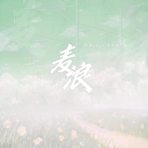 麦浪