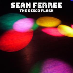 The Disco Flash