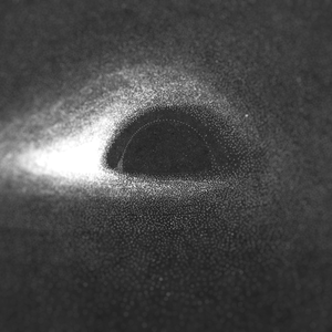 A Whisper of the Night