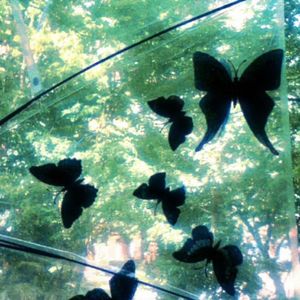 LoFi(Prod.By 梅川业)