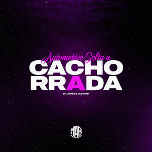 Automotivo Solta a Cachorrada