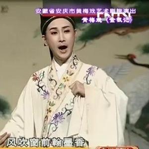 黃梅戲金釵記, Pt. 5  (Live)