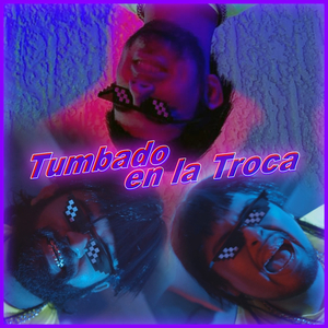 Tumbado en la Troca