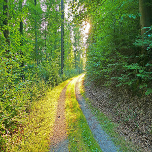 수면 (명상음악 자장가)