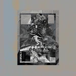 La criatura encallada