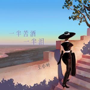 一半苦酒一半泪 (伤感版)