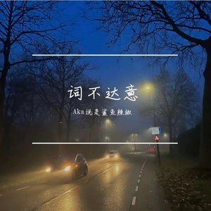 词不达意（Prod EVO MUSIC）