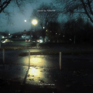 I Don't Know You（COVER.Noni）