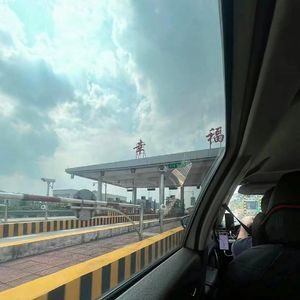 送自己一只海鸥 从明天起自由