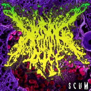 Scum