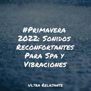 Hamaca En Los Árboles