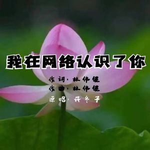 我在网络认识了你【混音】 伴奏