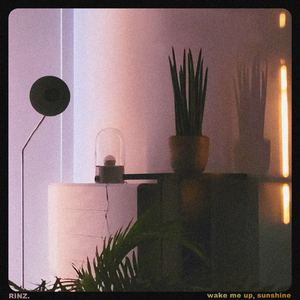 wake me up, sunshine