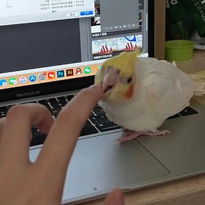 偏爱（翻自 Lil Ghost小鬼）