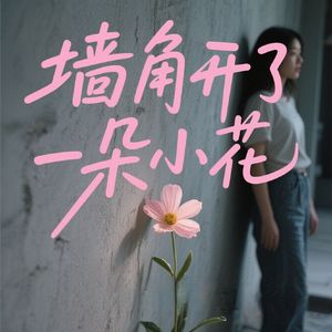 墙角开了一朵小花