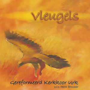 Vleugels
