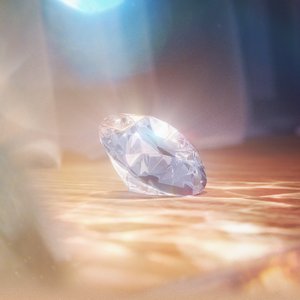 リインカーネーション